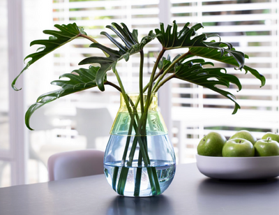 Twotone Two Way Vase – Flippable Vase by Peleg Design