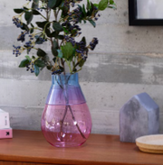 Twotone Two Way Vase – Flippable Vase by Peleg Design