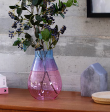 Twotone Two Way Vase – Flippable Vase by Peleg Design