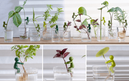 Peleg Design Leafriend - Plant Propagation Buddy Quirksy gifts australia