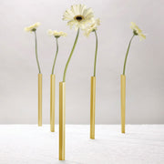 Magnetic Vase Set - Gold – Table Decor by Peleg Design