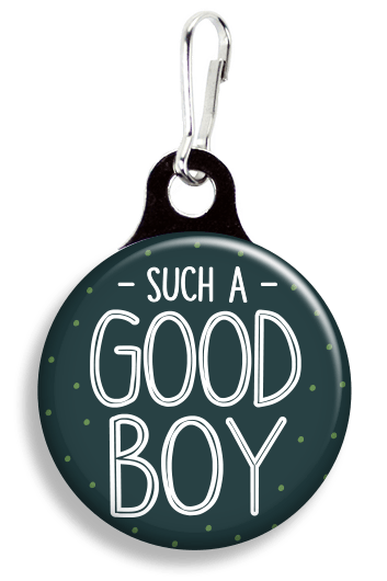 FrannyBGood ‘Such a Good Boy’ Collar Charm Quirksy gifts australia