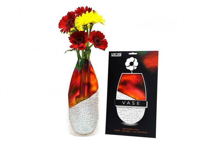 modgy Copaku Vase Quirksy gifts australia