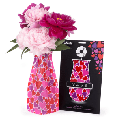 modgy Vase - LuvDub Quirksy gifts australia