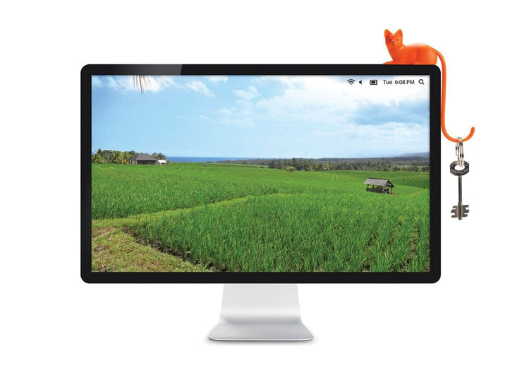 Monkey business Ginger - Screen hook Quirksy gifts australia