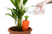 Peleg Design CARE IT Self Watering Device Quirksy gifts australia
