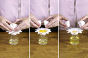 Peleg Design DAISY Egg Separator Quirksy gifts australia